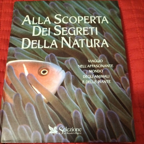 Alla scoperta dei segreti